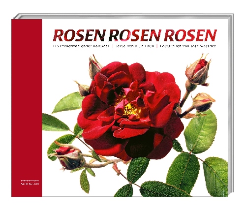 Rosen Kalender