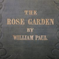 Paul, Rose Garden